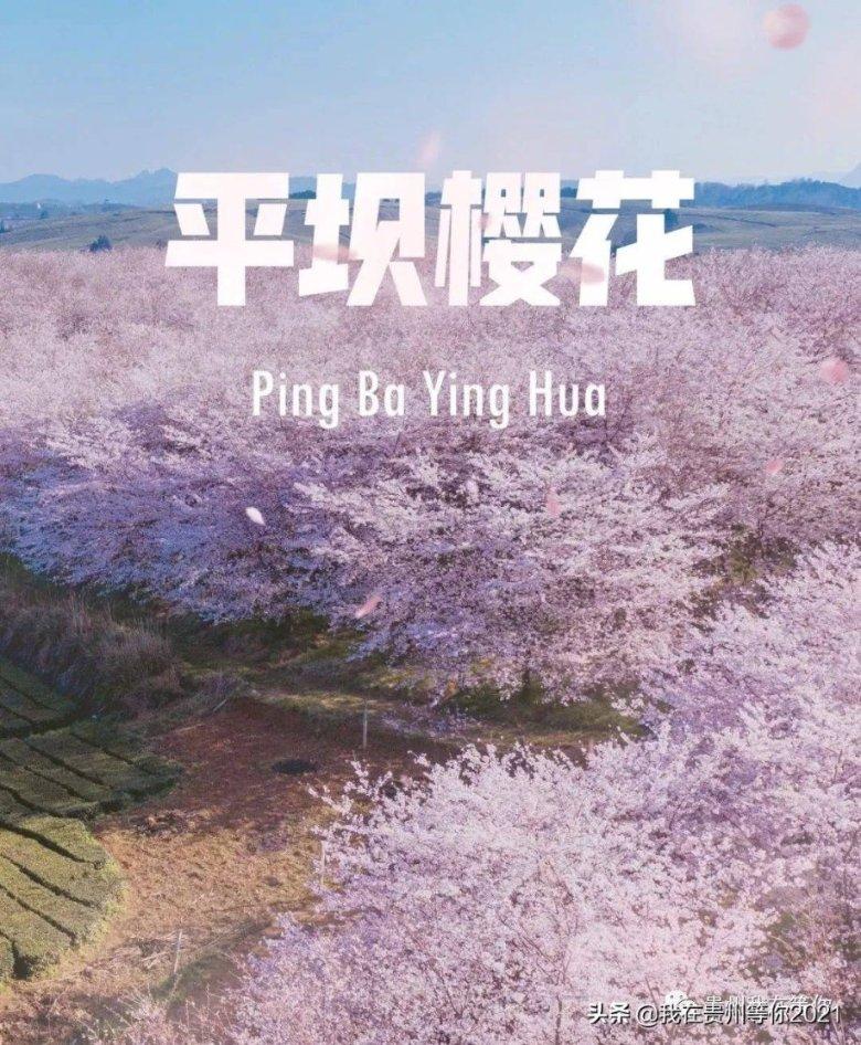享受一问一答,畅享房子装修完业主疑似赖账不付钱,工人一气之下砸毁了吊顶,业主为何不付钱?问答之乐