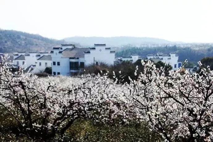 嘉日单词