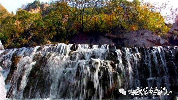 虫虫助手下载