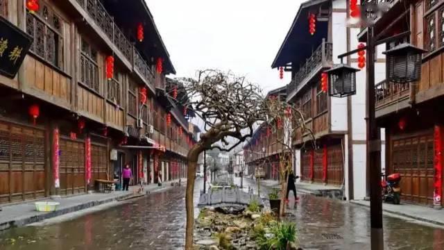 春雨直播app
