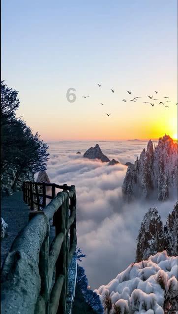 88影视